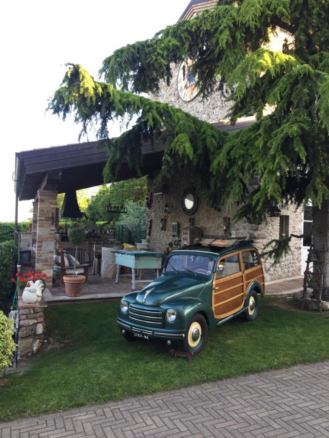 Gallo Delle Pille